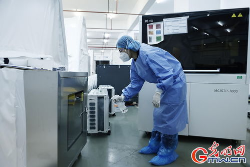 守滬者聯(lián)盟丨上海建成'火眼'實(shí)驗(yàn)室，日檢測(cè)通量可達(dá)10萬單管